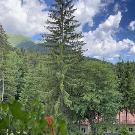 Casa Iris-Hotel & Restaurant Sinaia Exterior foto